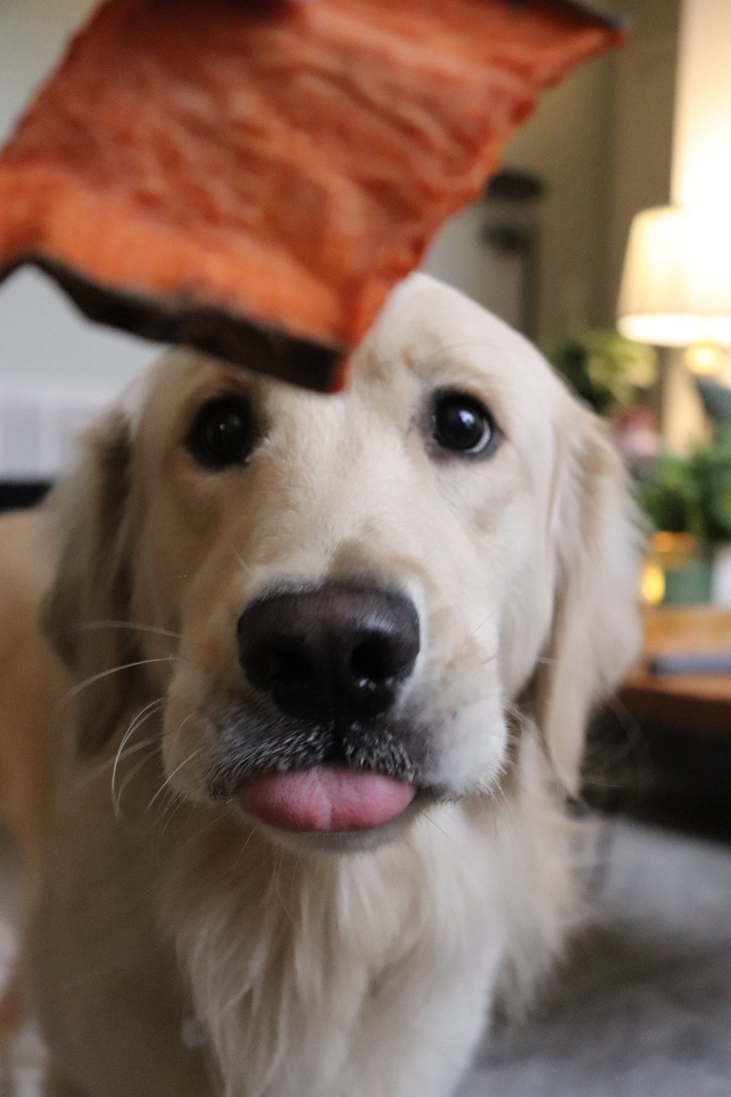 Gaines Family Farmstead Sweet Potato Chews