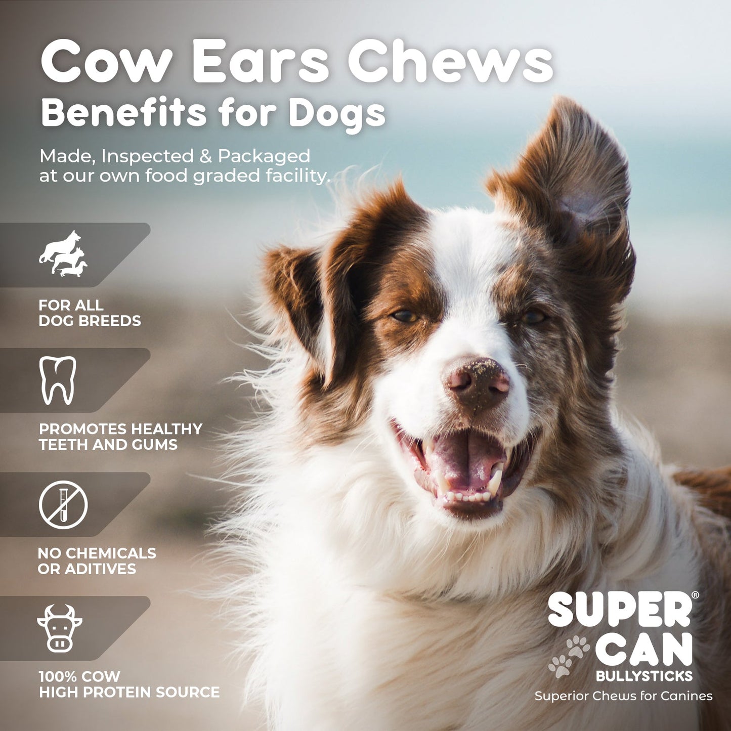SuperCan Cow Ears (15-Pack)