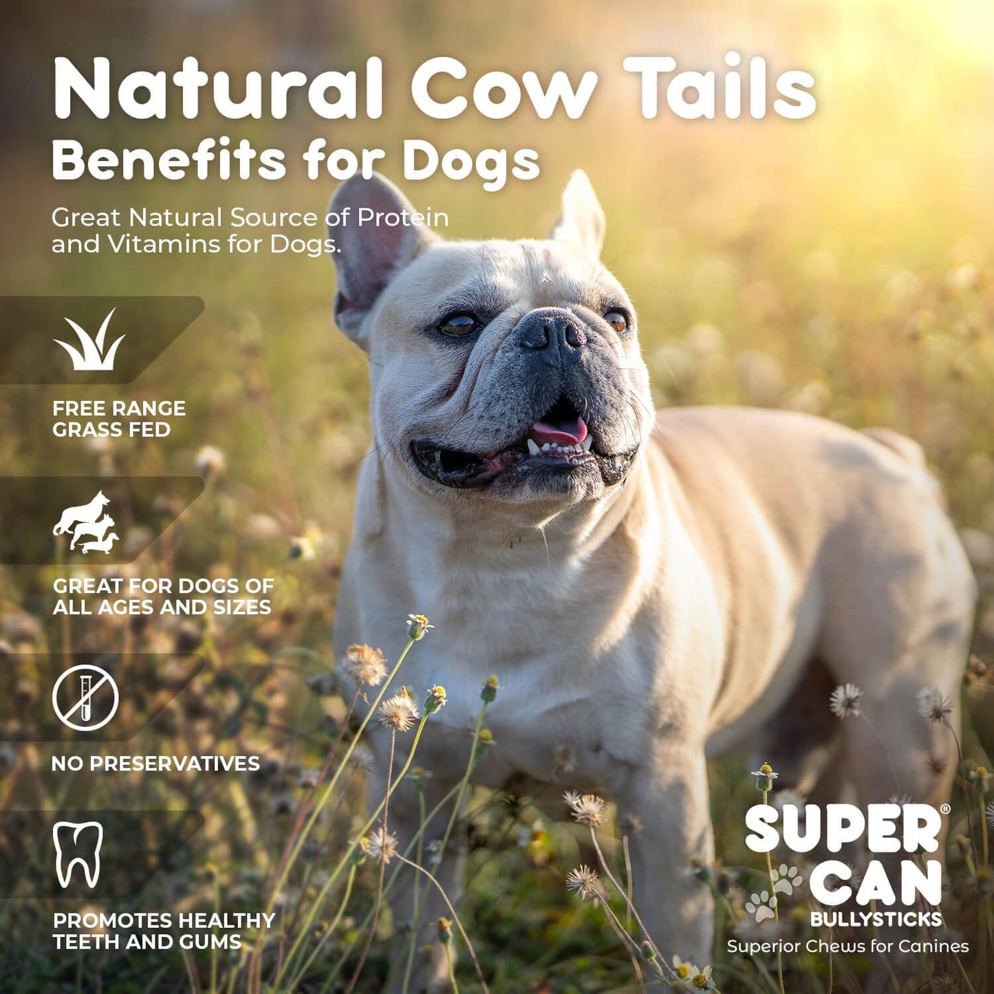 SuperCan 6" Cow Tails for Dogs (50 pcs)