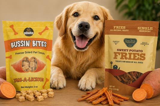 7 Powerful Benefits of Sweet Potato for Dogs (And Why Your Pup Will Love Them)