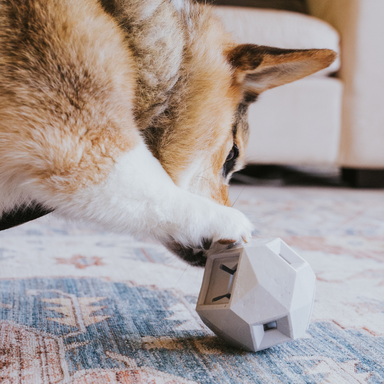 Up Dog Shop The Odin Treat Dispensing Toy