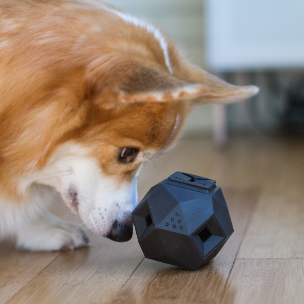 Up Dog Shop The Odin Treat Dispensing Toy