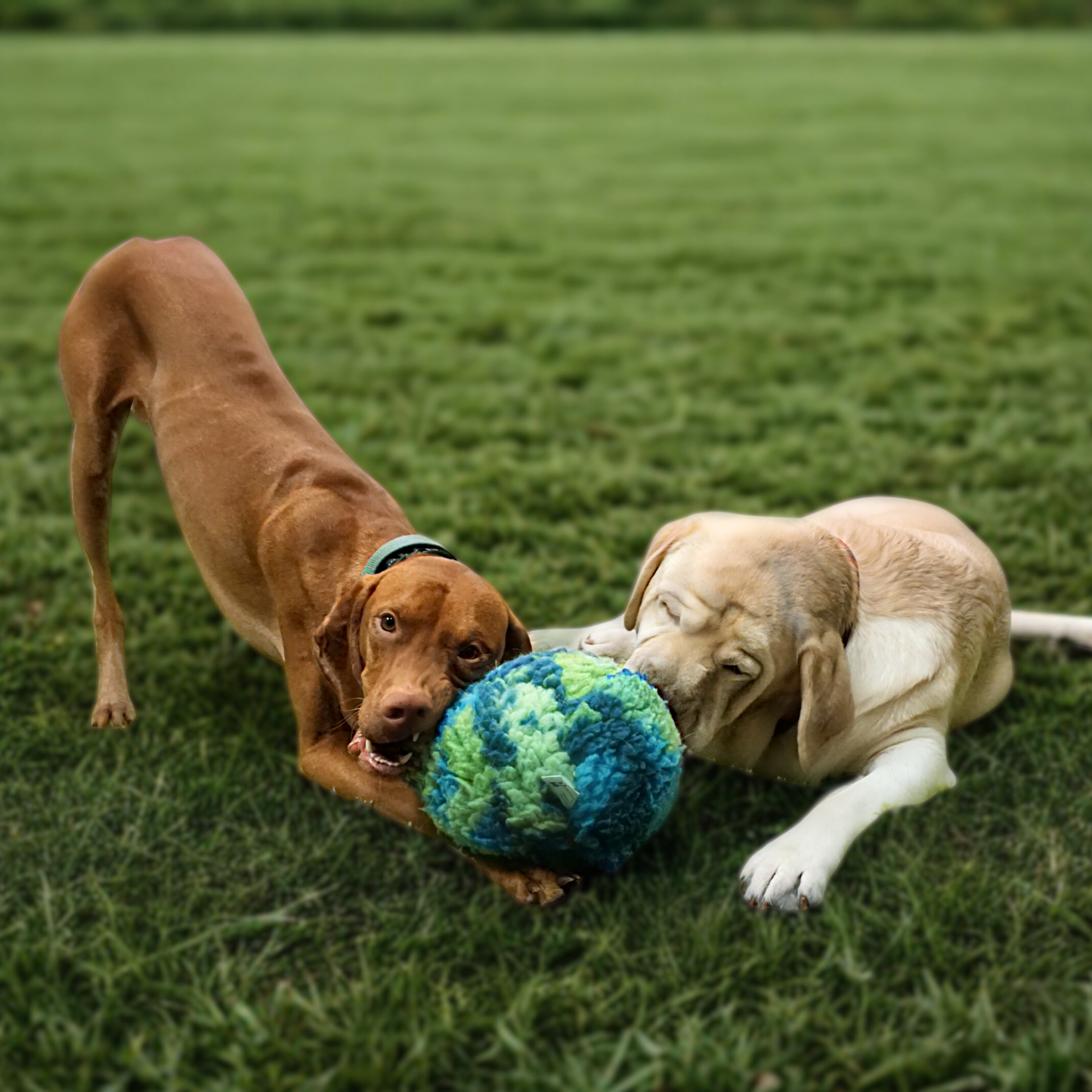 HuggleHounds HuggleSnuffles™ SnuffleSphere™ Puzzle Ball