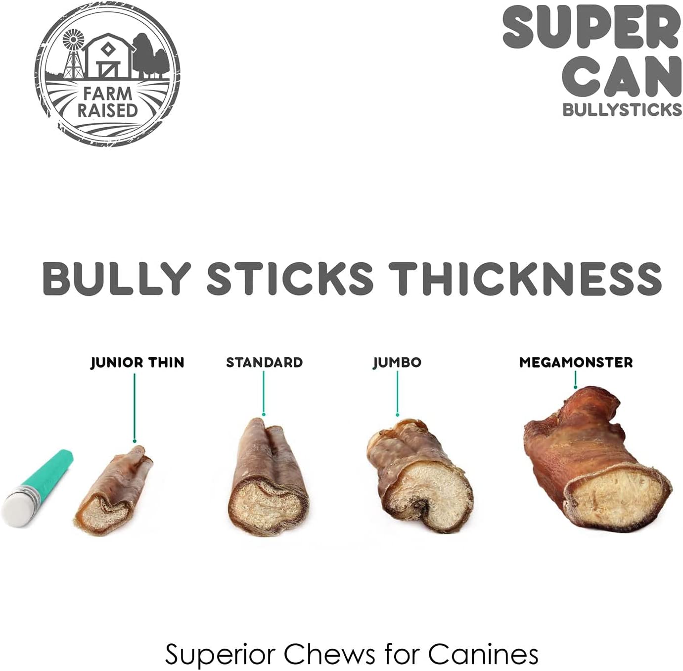 SuperCan 12" Standard Bully Sticks