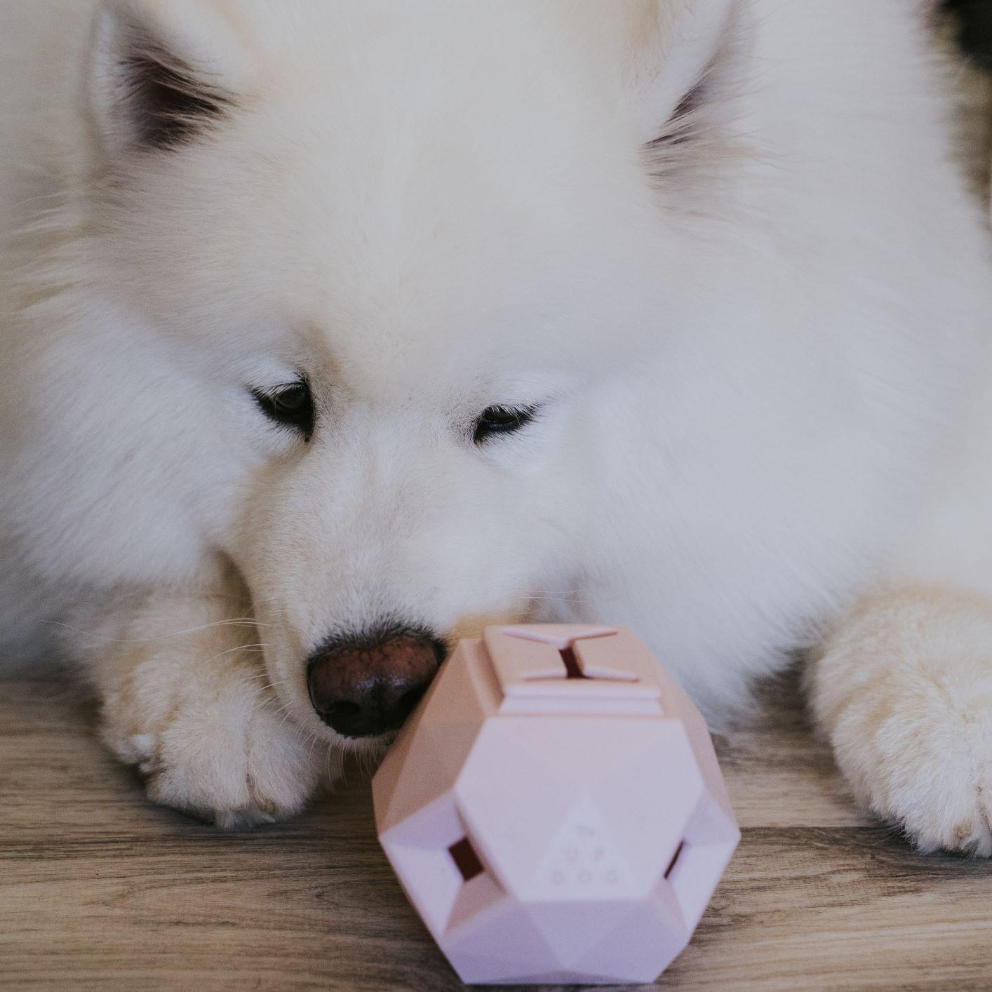 Up Dog Shop The Odin Treat Dispensing Toy
