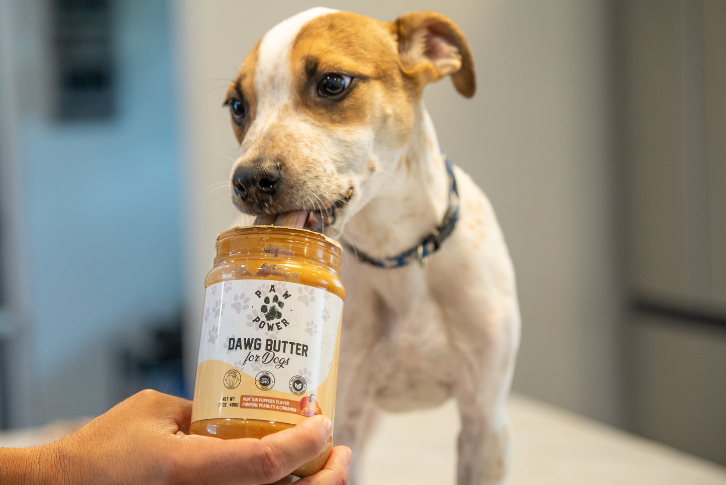 Paw Power Dawg Butter - Pum'kin Puppers
