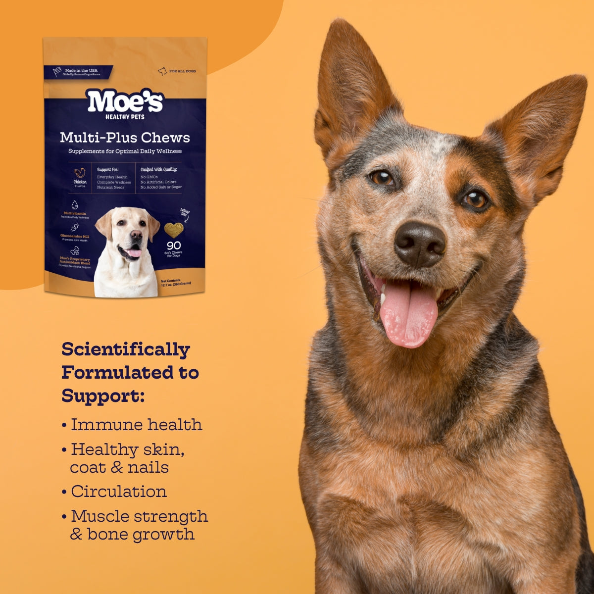 Moe's Healthy Pets Multi-Plus Chews