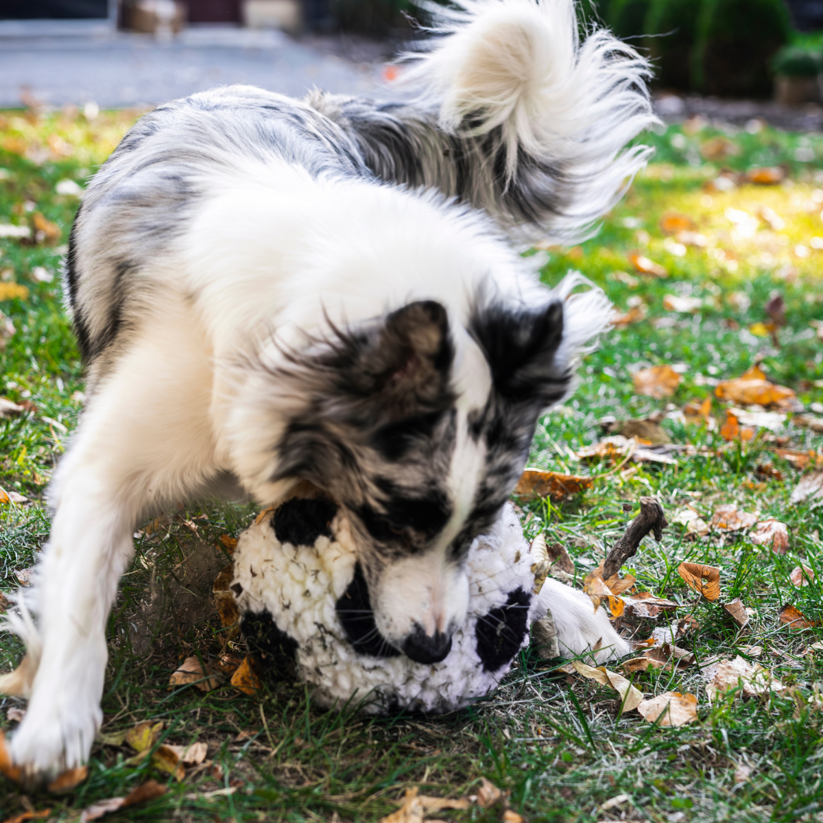 HuggleHounds HuggleFleece® Soccer Ball Dog Toy | Limited World Cup 2026