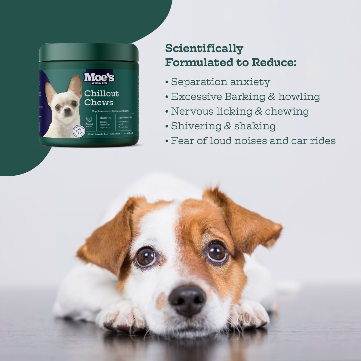 Moe's Healthy Pets Chillout Chews