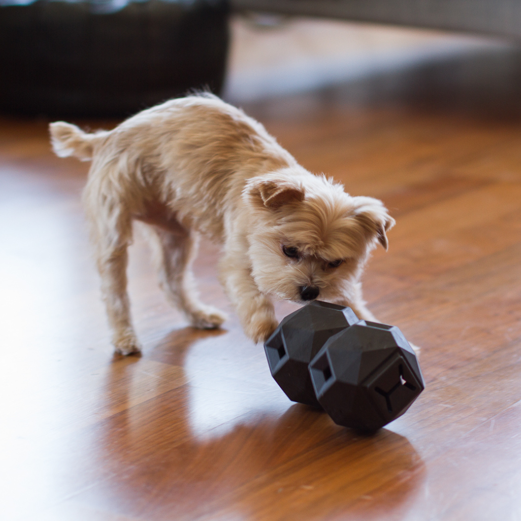 Up Dog Shop The Odin Treat Dispensing Toy