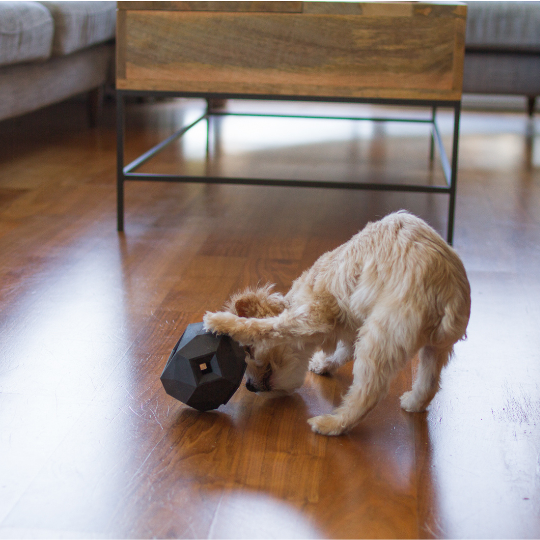 Up Dog Shop The Odin Treat Dispensing Toy