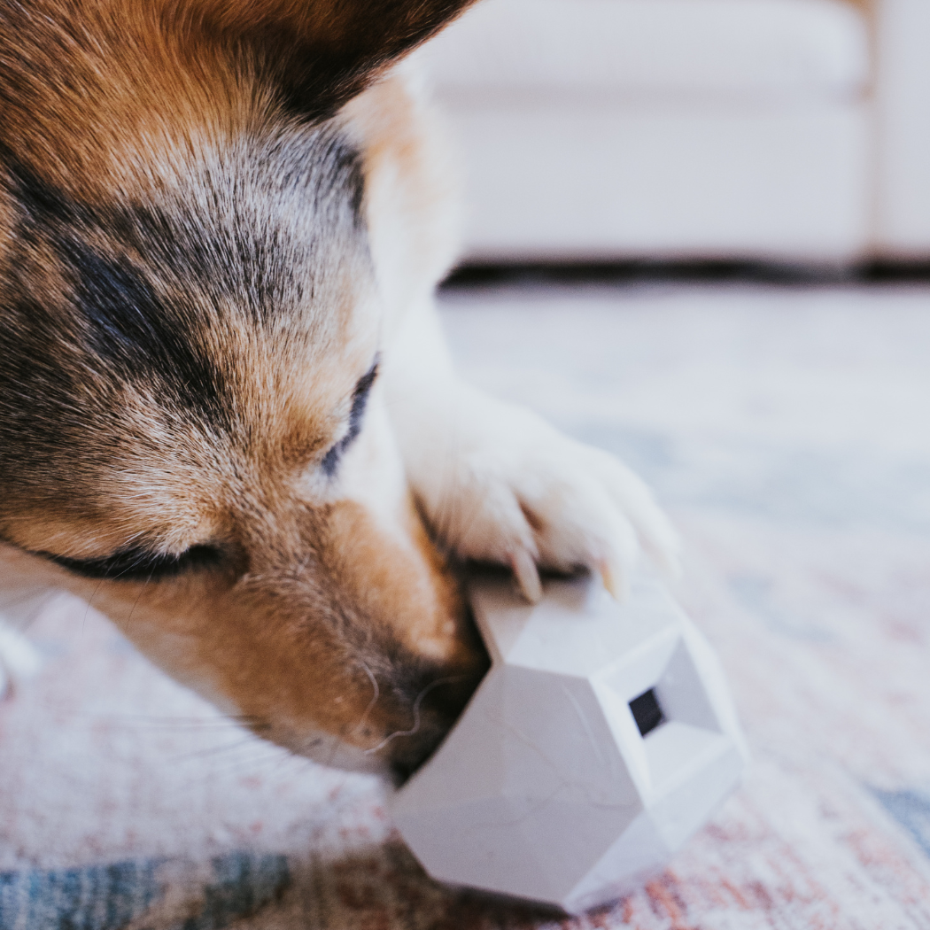 Up Dog Shop The Odin Treat Dispensing Toy