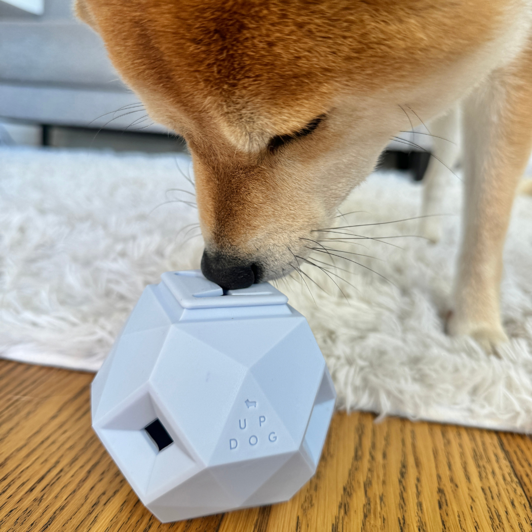 Up Dog Shop The Odin Treat Dispensing Toy