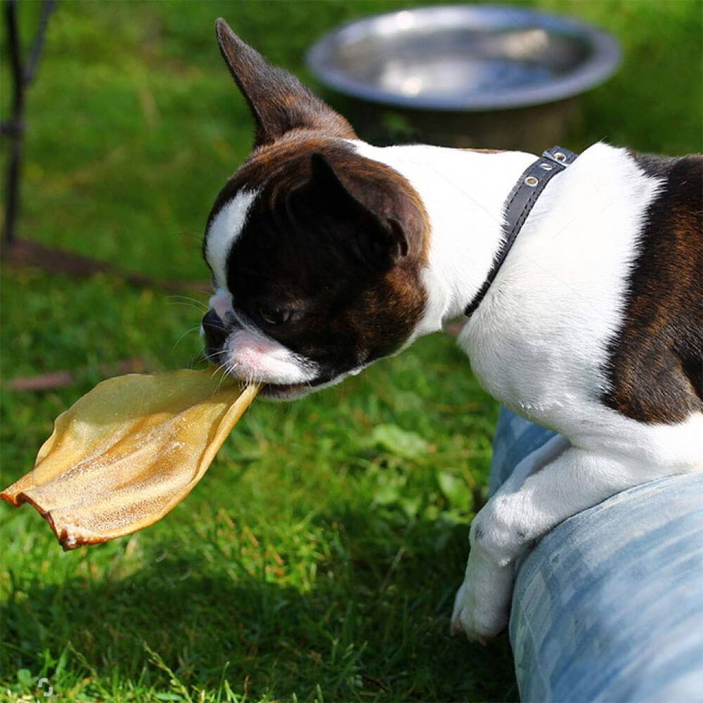 SuperCan Cow Ears (15-Pack)